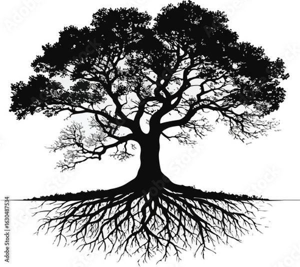 Fototapeta Old Tree with Roots Silhouette