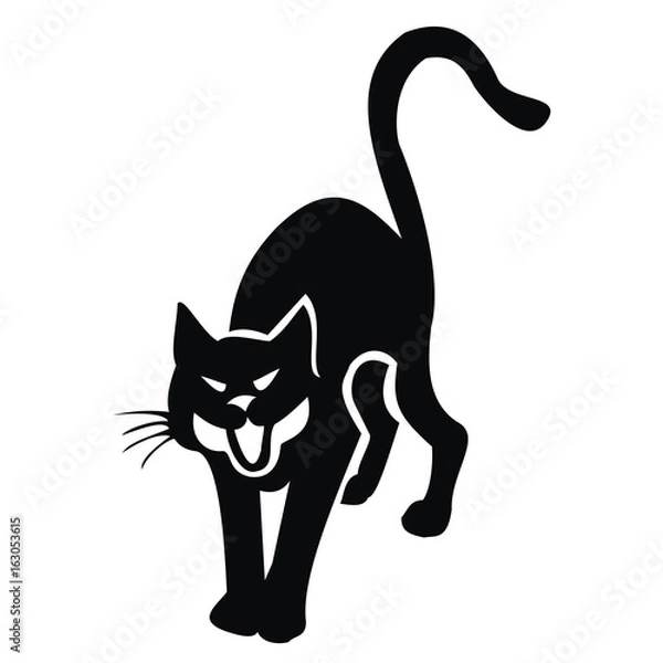 Obraz black cat