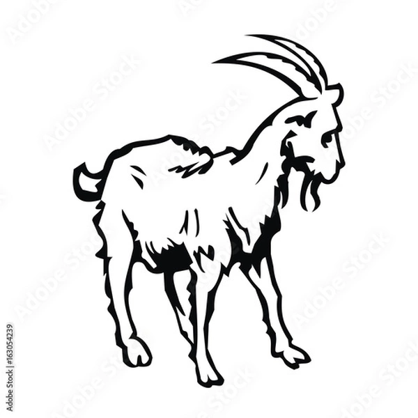 Obraz goat