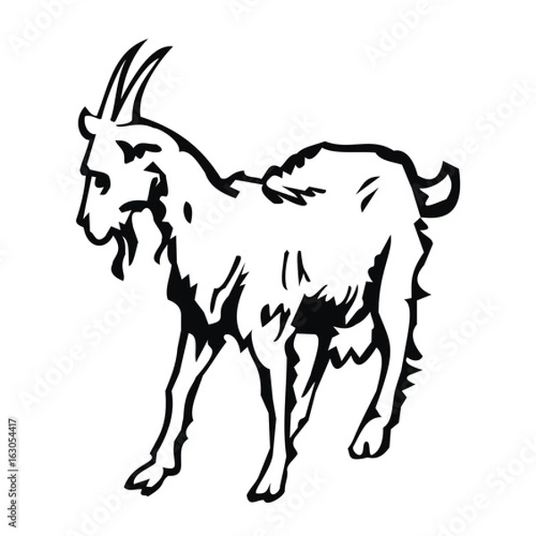 Obraz goat