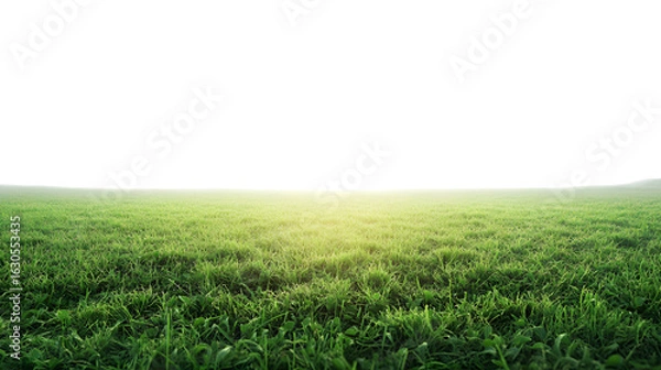 Fototapeta Lush green grass field illuminated by sunlight, perfect for adding foreground interest to your designs isolated on white background 