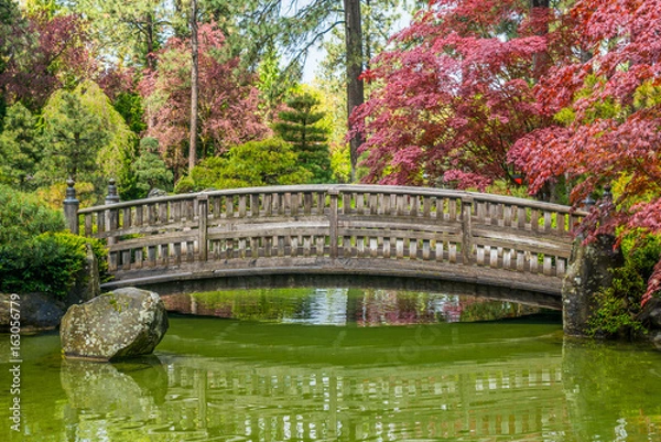 Obraz Kolorowy park w stylu japońskim. Manito Park and Botanical Gardens, Spokane, Washington, Stany Zjednoczone