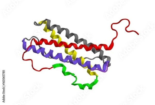 Fototapeta Molecular structure of prolactin