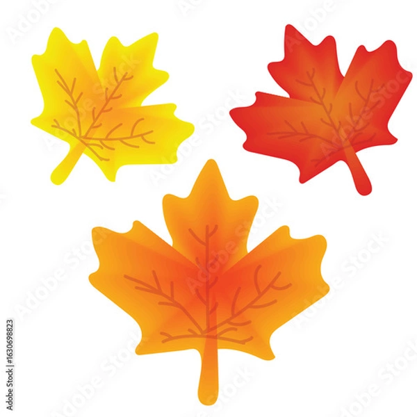Fototapeta Autumn Maple Leaves Set – Colorful Fall Foliage Vector Illustration, 
A beautiful set of colorful maple leaves in autumn shades. Ideal for seasonal decorations, greeting cards, scrapbooking,