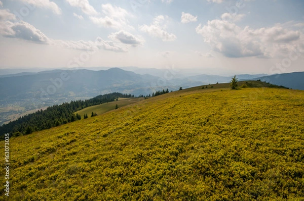 Fototapeta Carpathian landscape