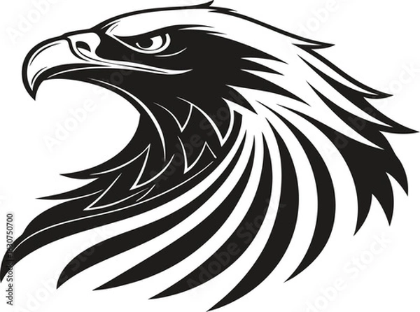 Fototapeta eagle head vector illustration