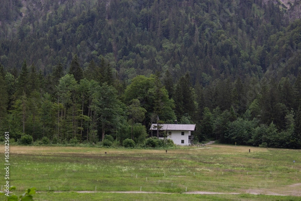 Obraz Lonely white house stands on a wide grassy field at the edge of a dense forest. Surrounded by tall trees and mountains, the scene evokes calmness and rural solitude.