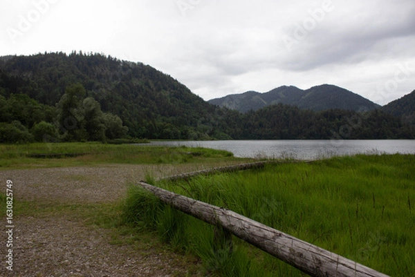Obraz Calm mountain lake surrounded by green forested hills under a cloudy sky, with lush grass and weathered logs in the foreground.