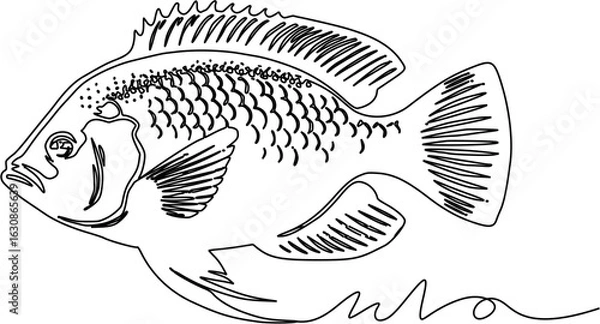 Obraz background ilustration tilapia fish
