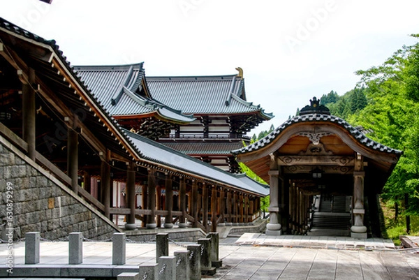 Fototapeta 越前大仏