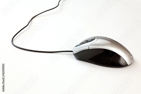 Obraz mouse