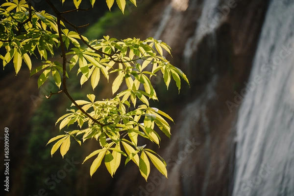 Obraz Close-up of vibrant green leaves against a blurred waterfall backdrop. Natural light, serene, nature.