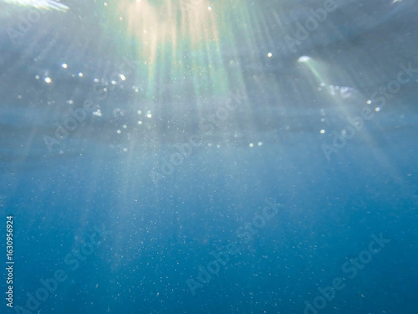 Fototapeta The sun shines through water, casting mottled light and shadow, intertwined with countless bubbles underwater, like a dance of light. Various aquatic, fish swimming in water in Mediterranean sea.