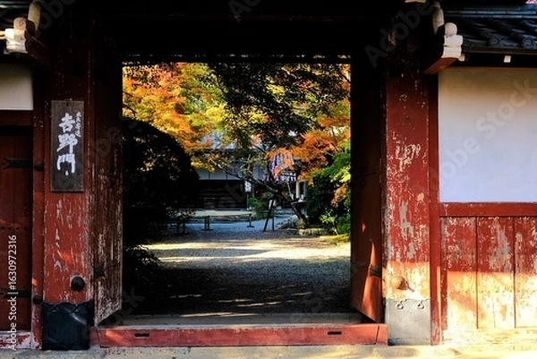 Fototapeta 京都、紅葉、常照寺、寺院、文化財、木造建築、古代建築、日本文化、歷史名勝、古都京都の文化財、木、綠色、青空、秋、絶景、写真素材