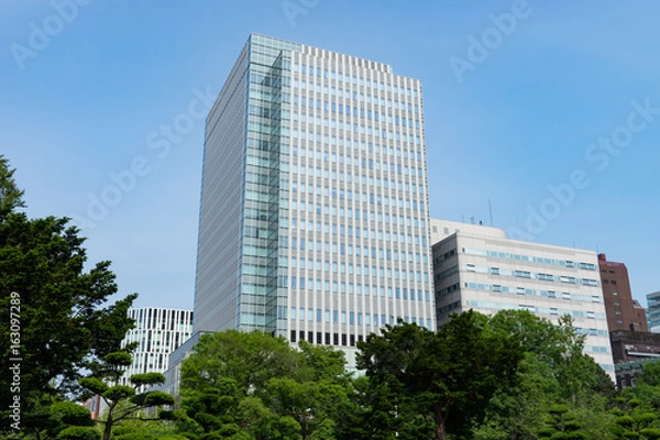 Fototapeta 北海道庁旧本庁舎周辺の札幌市内の都市風景