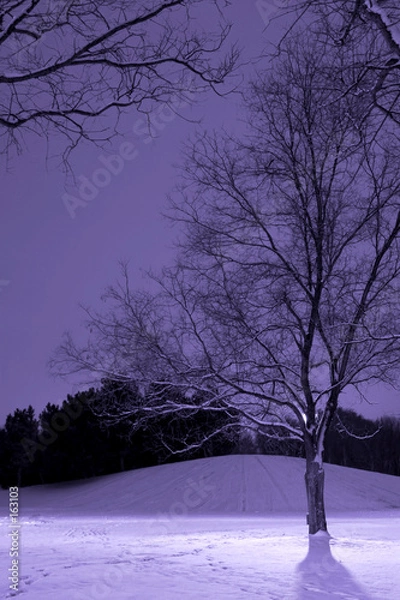 Obraz light post behind the tree, winter scene