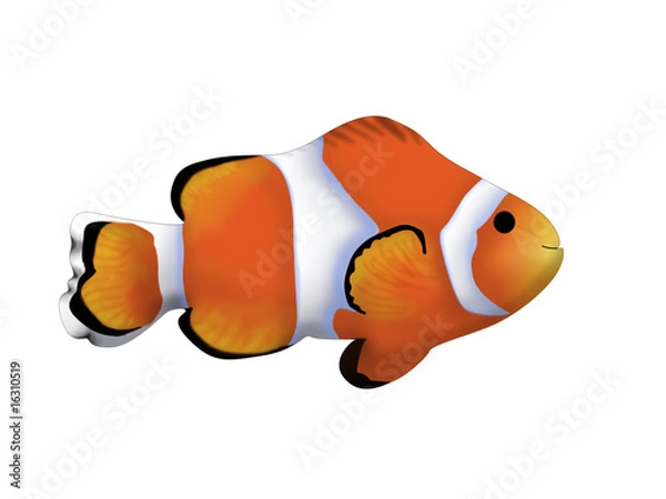 Obraz Nemo