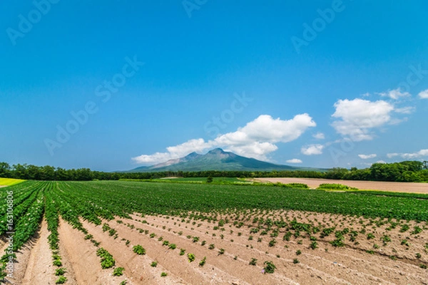 Fototapeta 北海道 駒ヶ岳