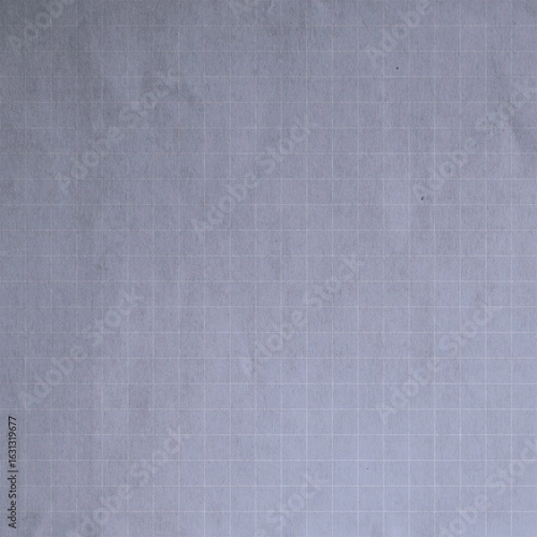 Fototapeta real Clean simple graph paper, checked paper, gridded paper background. Vector. Notebook, sheet paper, seamless, page, cloth, chart, school book, paper. graphic, design background.	