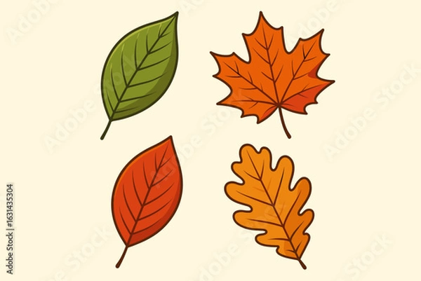 Fototapeta Autumn leaves vector collection. Set of 4 fall foliage design elements. Cartoon leaf icons bundle. Maple, oak, and birch leaves in orange, red, green. Seasonal nature.