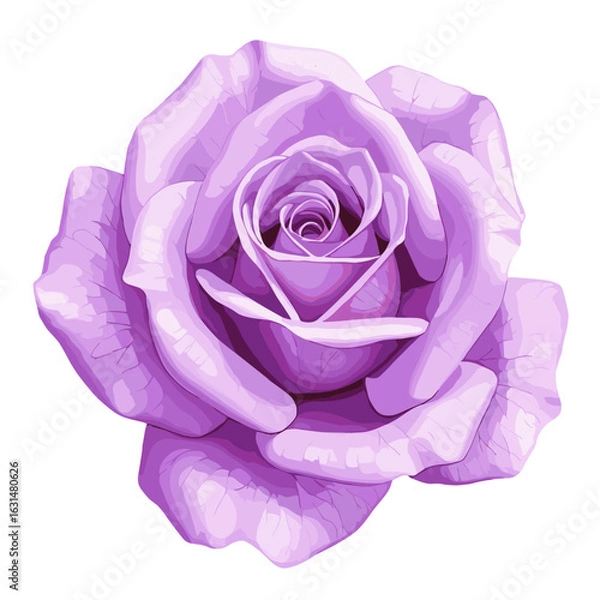 Fototapeta Detailed vector illustration of a lavender rose with intricate petal layering and soft color gradients, creating a romantic floral design