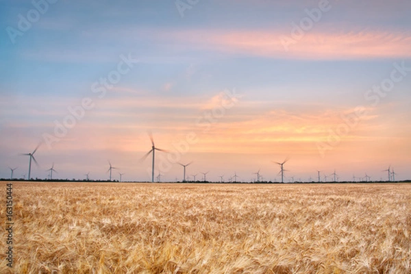 Obraz Wind generators in a wheat field