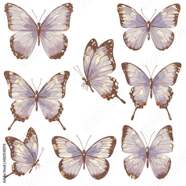 Fototapeta Collection of beautifully illustrated butterflies featuring intricate wing patterns and soft color palettes, creating a sense of delicate beauty and nature's charm