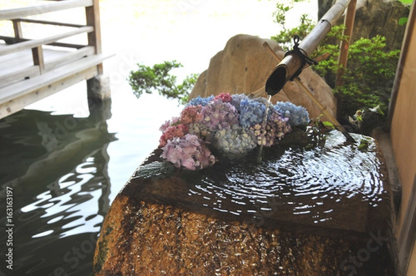 Obraz 紫陽花と御手洗