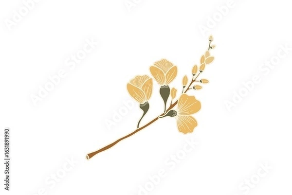 Fototapeta Botanical golden hibiscus flowers and leaves vector illustration