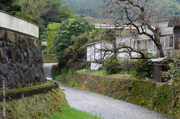 Fototapeta 川のある風景