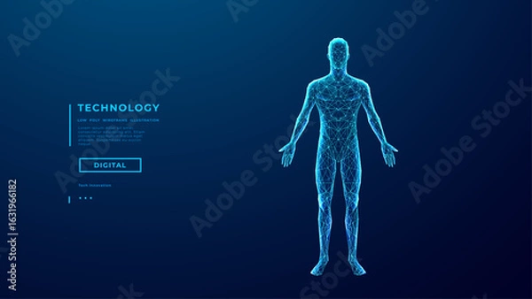 Obraz Abstract human body. Wireframe polygonal man silhouette on technology blue background. 3D human figure made of thin lines and connected dots. Medical and Anatomy concept. Digital vector illustration.