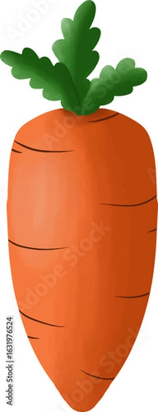 Obraz Carrot Vegetable Clip Art