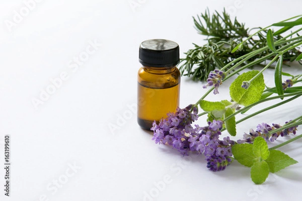 Fototapeta ラベンダー　ミント　アロマオイル
