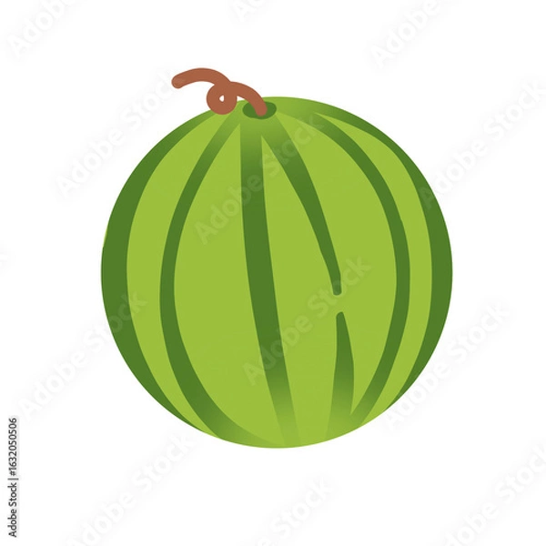 Fototapeta Watermelon drawing