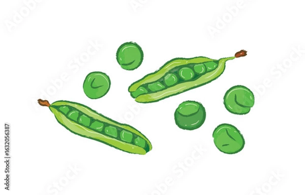Obraz Fresh raw green peas beans