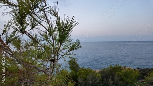 Obraz  Sea –  Deniz