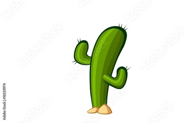 Obraz cactus