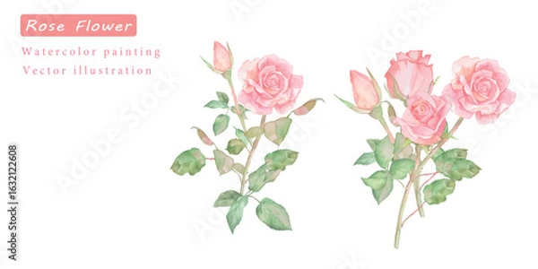 Fototapeta 水彩で描いたバラの素材ベクターイラスト	