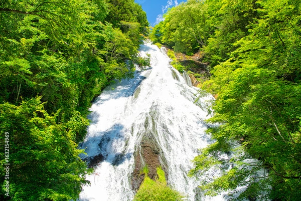 Fototapeta 栃木県日光市　奥日光の湯ノ湖から流れ落ちる湯滝	