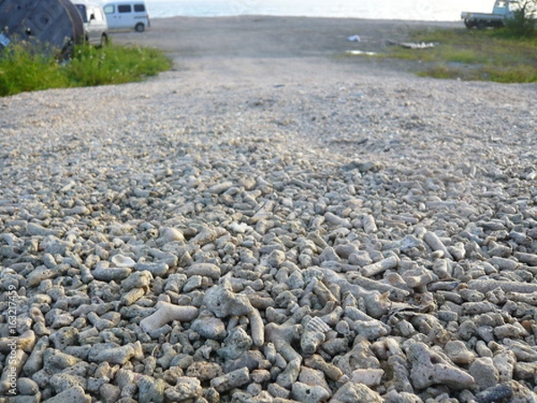 Obraz サンゴ礁の浜辺