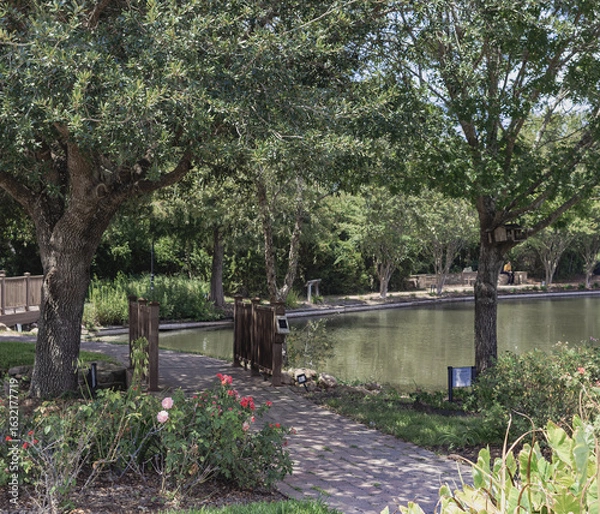 Fototapeta small pond at a park with beautiful trees and paved walkway