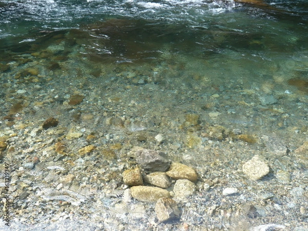 Obraz 透明度の高い川の流れ