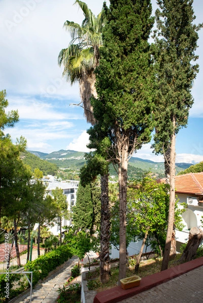 Fototapeta Panoramic shot moving right, revealing a grand castle estate through lush gardens. Tall cypress trees frame the scene as sunlight filters through, highlighting the architectural details.