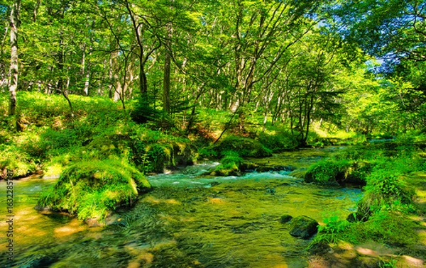Fototapeta 栃木県日光市　奥日光の戦場ヶ原を流れる湯川