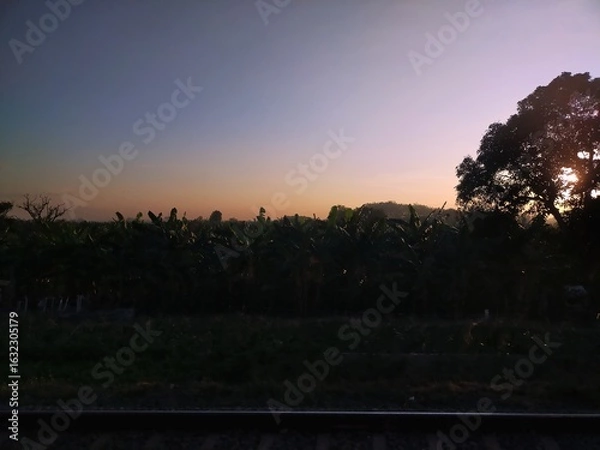 Obraz sunset over the forest