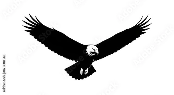 Obraz Black eagle flying on white background 