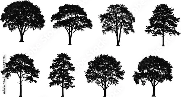 Fototapeta Set of detailed tree silhouettes, various shapes and foliage styles, ideal for landscape design, architectural use, and nature scenes.