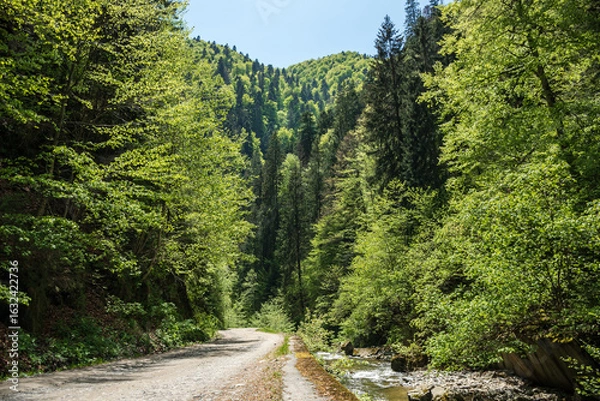 Obraz Valsan Gorges, Romania.