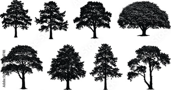 Fototapeta Silhouette Tree Vector Set, Deciduous and Coniferous Trees, Black Nature Shapes, Forest Clipart for Design, Landscape and Outdoors