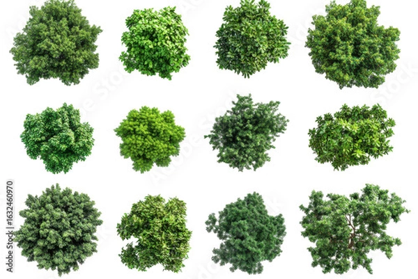 Obraz Collection of green leafy bushes from a top down perspective isolated on transparent background. Top view collection of lush green trees isolated on white background.